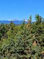 14951 Cayuse Road - Photo 5