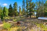 15944 Woodchip Lane - Photo 38