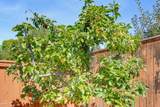 401 Stanford Avenue - Photo 63