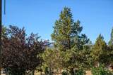8659 Shad Road - Photo 38