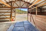 4272 Beagle Road - Photo 50