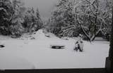 665 Winona Road - Photo 35