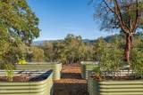 145 Lomas Road - Photo 37
