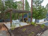145 Lomas Road - Photo 50