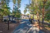 145 Lomas Road - Photo 55