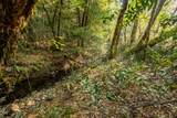 2777 Caves Highway - Photo 21