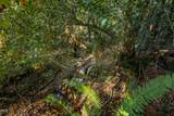 2777 Caves Highway - Photo 22