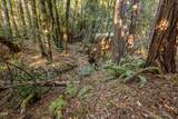 2777 Caves Highway - Photo 23
