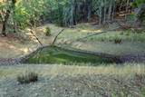 2777 Caves Highway - Photo 24