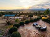 10835 Mintken Lane - Photo 4