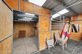 10835 Mintken Lane - Photo 43