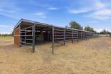 23525 Bear Creek Road - Photo 19