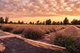 23525 Bear Creek Road - Photo 29