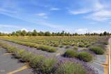 23525 Bear Creek Road - Photo 30
