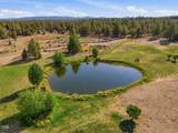 23525 Bear Creek Road - Photo 31