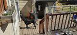 156 Ash Street - Photo 14