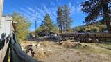 10483 Blackwell Road - Photo 24