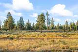 64225 Sisemore Road - Photo 13