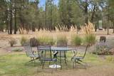 69460 Crooked Horseshoe Road - Photo 19