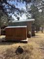 12032 Hunters Loop - Photo 17