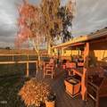 4799 Williams Road - Photo 36