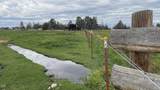 4799 Williams Road - Photo 57