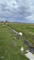 4799 Williams Road - Photo 58