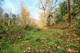 71 Yale Creek Road - Photo 100