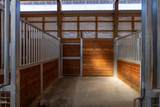 66240 Black Horse Lane - Photo 12