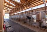 66240 Black Horse Lane - Photo 38