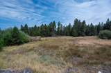 51590 Dorrance Meadow Road - Photo 1