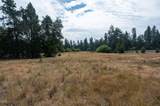 51596 Dorrance Meadow Road - Photo 8