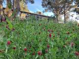 3060 35th Court - Photo 47