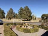 11800 Tingley Lane - Photo 31