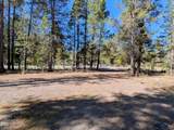 53362 Holtzclaw Road - Photo 2