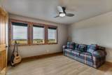 8798 Talarus Trail - Photo 28