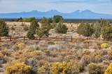 8798 Talarus Trail - Photo 34