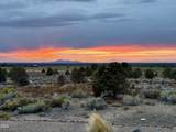8798 Talarus Trail - Photo 50
