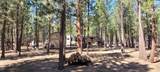 52117 Foxtail Road - Photo 1