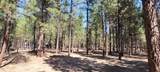 52117 Foxtail Road - Photo 2