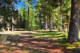 17111 Lady Caroline Drive - Photo 54