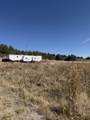 30964 Drews Road - Photo 6