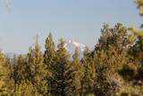 20005 Pacific Heights Road - Photo 5