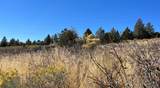 Lot 79 Peregrine Heights - Photo 6