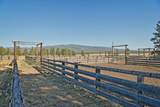 3 Mile Nfg 49 - Photo 114