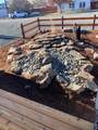225 Johnson Street - Photo 23
