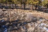 3399 Starview Drive - Photo 5