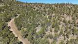  Osprey Road - Photo 2