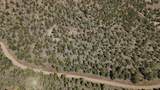  Osprey Road - Photo 3