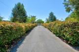 1305 Wineteer Lane - Photo 3
